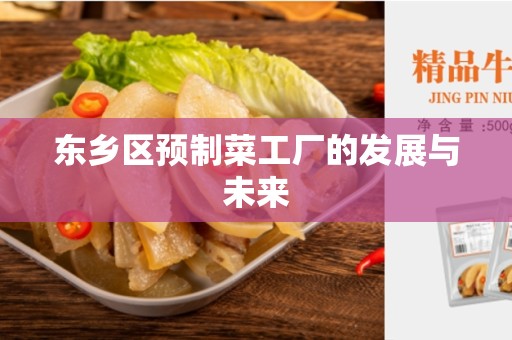 东乡区预制菜工厂的发展与未来