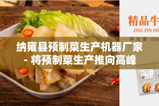 纳雍县预制菜生产机器厂家- 将预制菜生产推向高峰