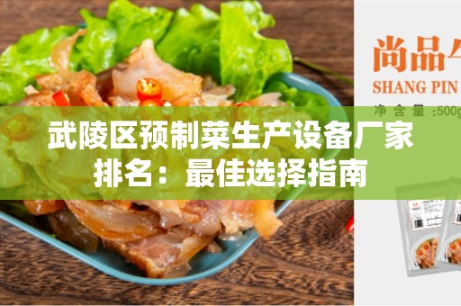 武陵区预制菜生产设备厂家排名：最佳选择指南
