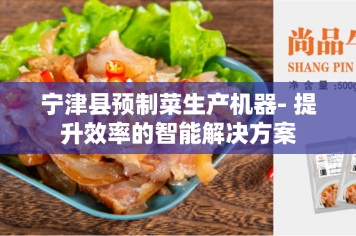 宁津县预制菜生产机器- 提升效率的智能解决方案