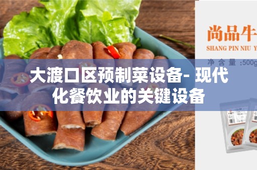 大渡口区预制菜设备- 现代化餐饮业的关键设备