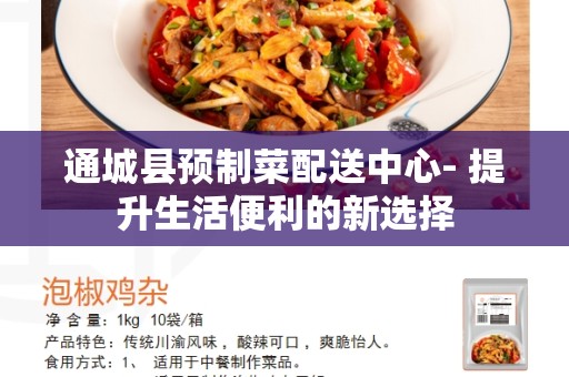 通城县预制菜配送中心- 提升生活便利的新选择