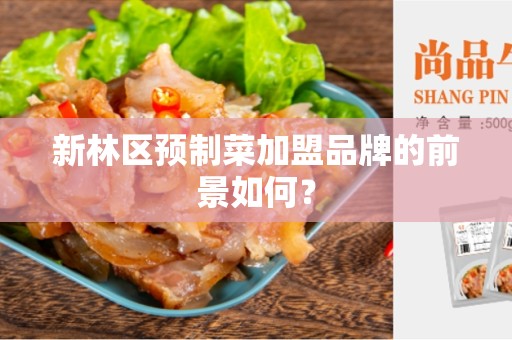 新林区预制菜加盟品牌的前景如何？