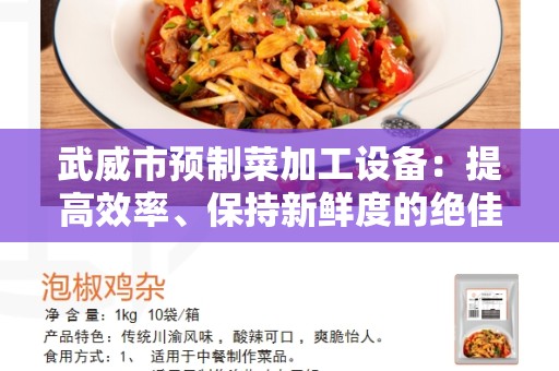 武威市预制菜加工设备：提高效率、保持新鲜度的绝佳选择