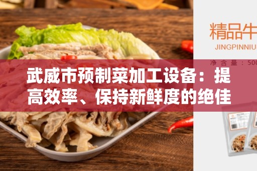 武威市预制菜加工设备：提高效率、保持新鲜度的绝佳选择