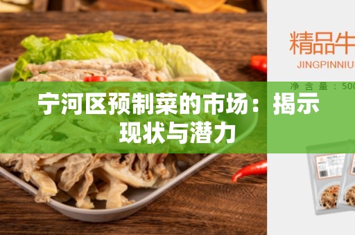 宁河区预制菜的市场：揭示现状与潜力