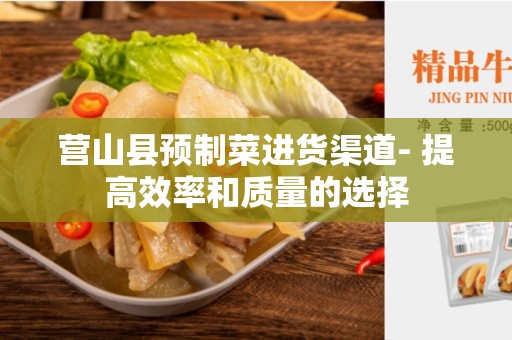 营山县预制菜进货渠道- 提高效率和质量的选择