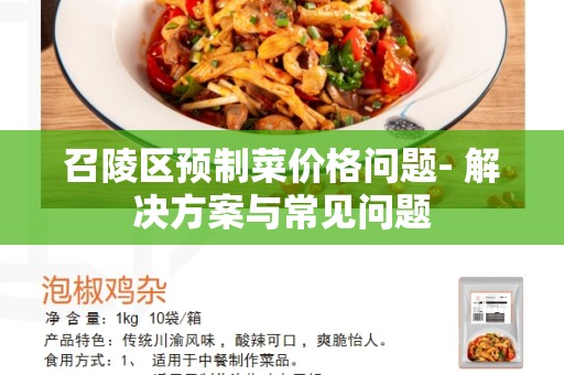 召陵区预制菜价格问题- 解决方案与常见问题