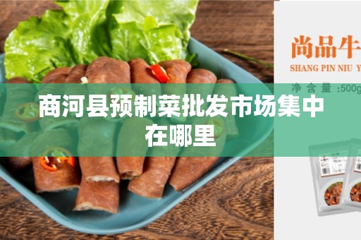 商河县预制菜批发市场集中在哪里