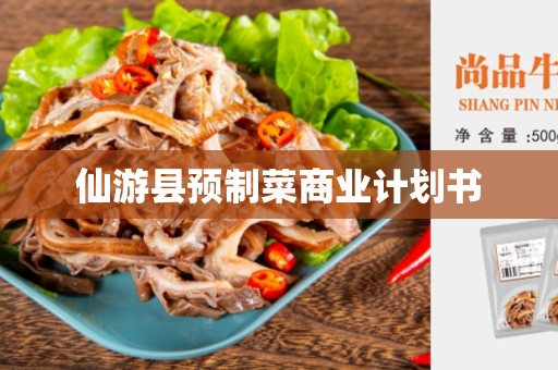 仙游县预制菜商业计划书