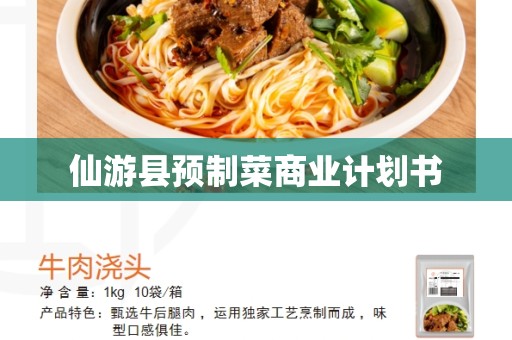 仙游县预制菜商业计划书