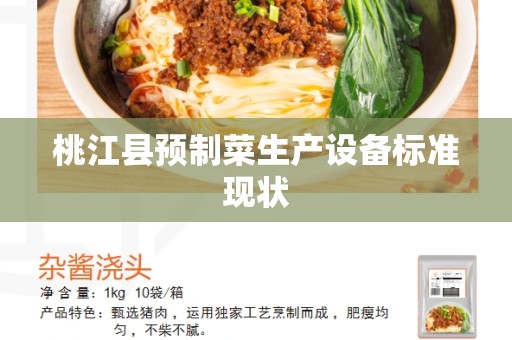 桃江县预制菜生产设备标准现状