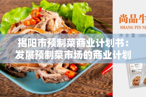 揭阳市预制菜商业计划书：发展预制菜市场的商业计划