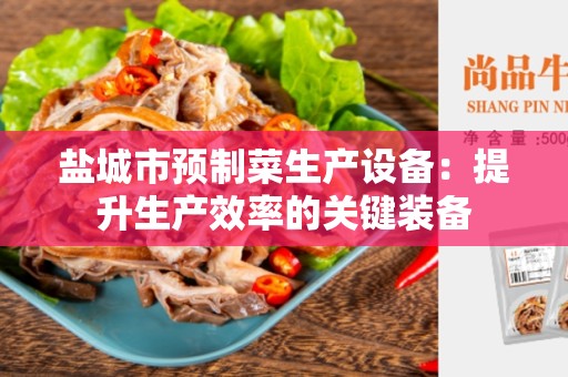 盐城市预制菜生产设备：提升生产效率的关键装备