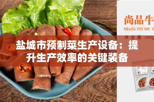 盐城市预制菜生产设备：提升生产效率的关键装备