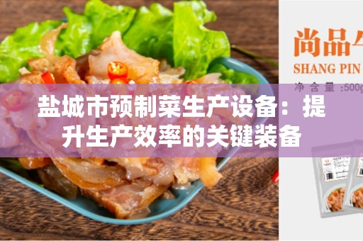 盐城市预制菜生产设备：提升生产效率的关键装备