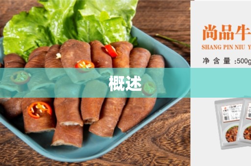 概述