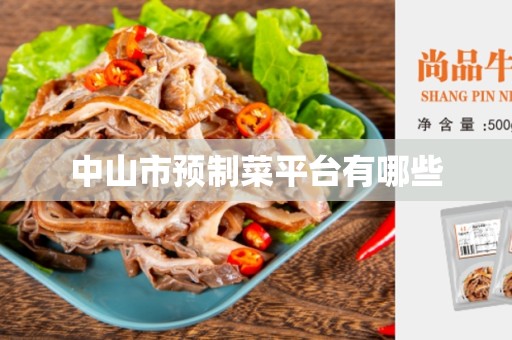 中山市预制菜平台有哪些