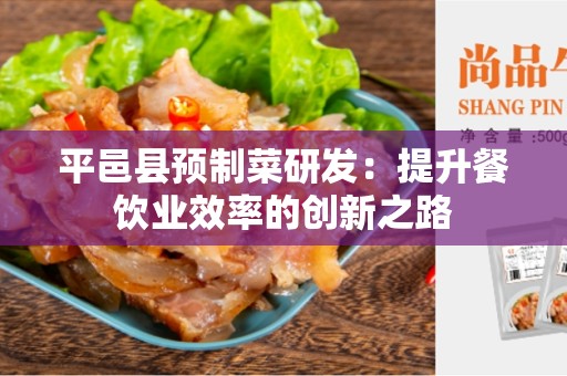 平邑县预制菜研发：提升餐饮业效率的创新之路