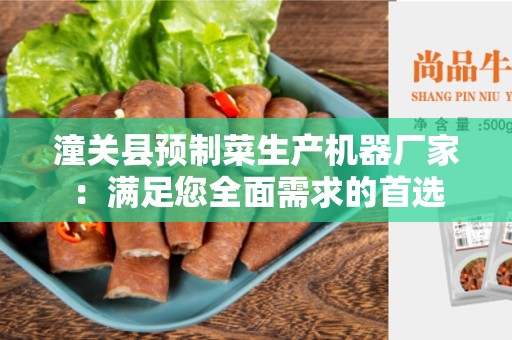 潼关县预制菜生产机器厂家：满足您全面需求的首选