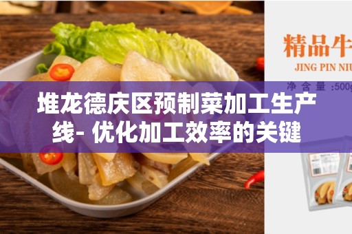 堆龙德庆区预制菜加工生产线- 优化加工效率的关键
