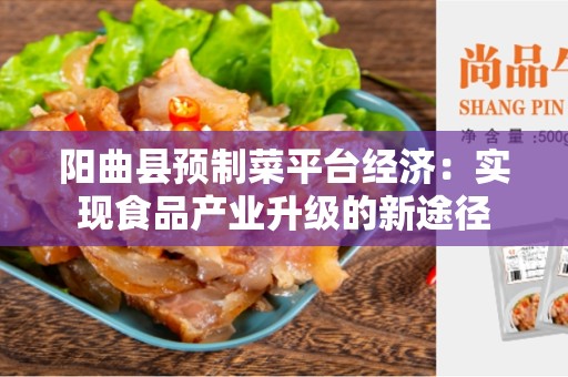 阳曲县预制菜平台经济：实现食品产业升级的新途径