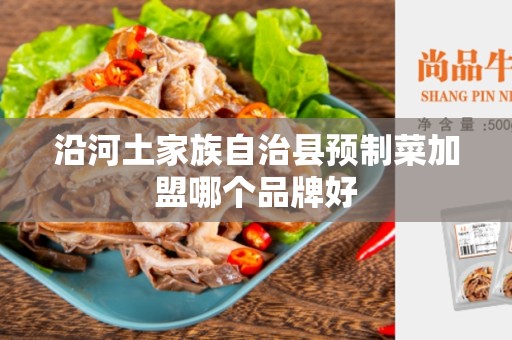 沿河土家族自治县预制菜加盟哪个品牌好