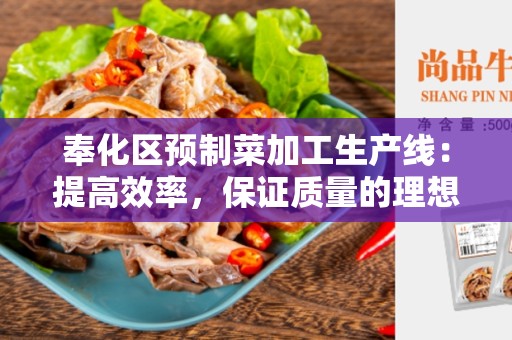 奉化区预制菜加工生产线：提高效率，保证质量的理想选择