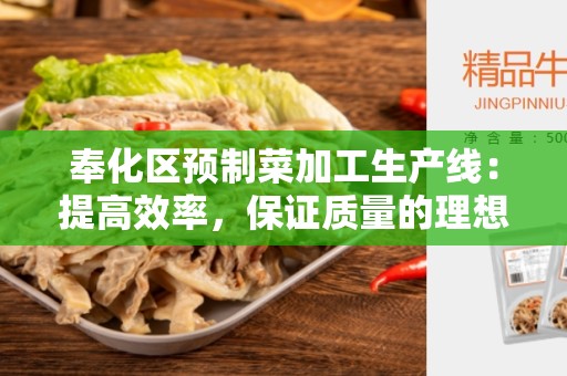 奉化区预制菜加工生产线：提高效率，保证质量的理想选择