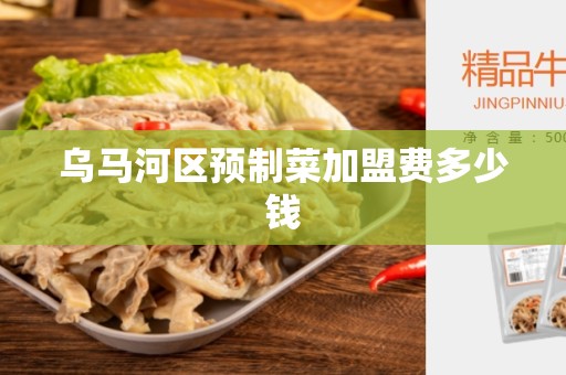 乌马河区预制菜加盟费多少钱