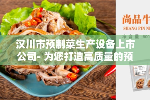 汉川市预制菜生产设备上市公司- 为您打造高质量的预制菜生产设备