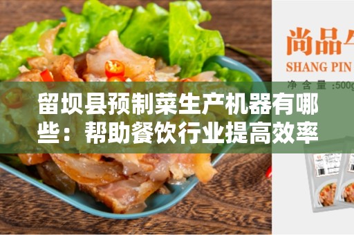 留坝县预制菜生产机器有哪些：帮助餐饮行业提高效率与质量