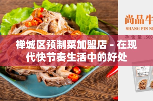 禅城区预制菜加盟店 - 在现代快节奏生活中的好处