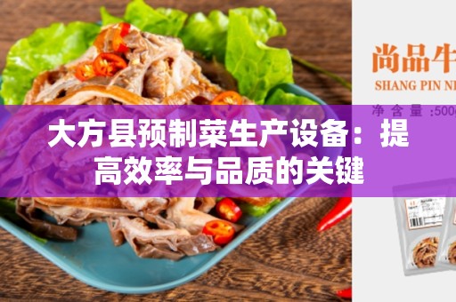大方县预制菜生产设备：提高效率与品质的关键