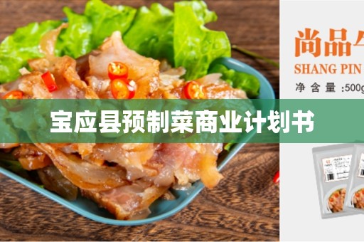 宝应县预制菜商业计划书