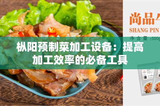 枞阳预制菜加工设备：提高加工效率的必备工具