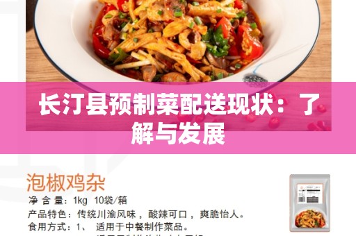 长汀县预制菜配送现状：了解与发展