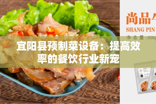 宜阳县预制菜设备：提高效率的餐饮行业新宠