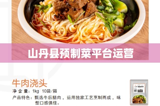 山丹县预制菜平台运营