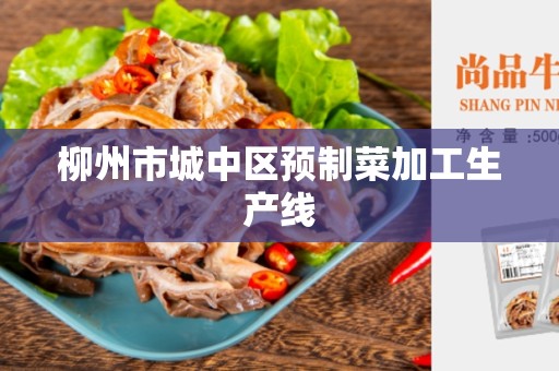 柳州市城中区预制菜加工生产线