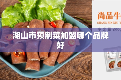 湖山市预制菜加盟哪个品牌好