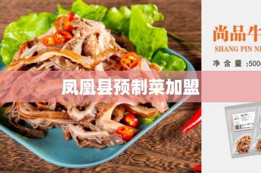 凤凰县预制菜加盟