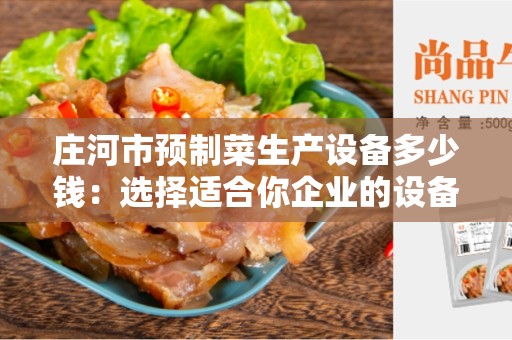 庄河市预制菜生产设备多少钱：选择适合你企业的设备