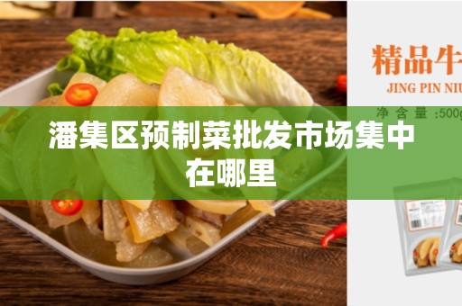 潘集区预制菜批发市场集中在哪里