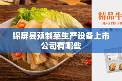 锦屏县预制菜生产设备上市公司有哪些