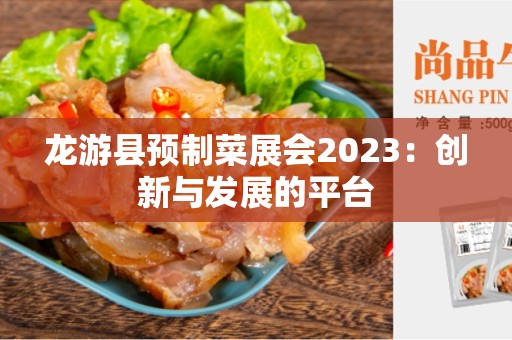 龙游县预制菜展会2023：创新与发展的平台