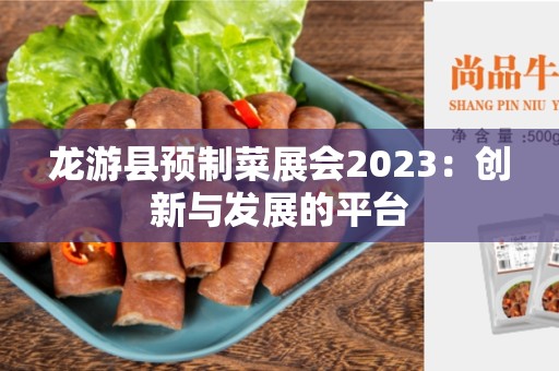 龙游县预制菜展会2023：创新与发展的平台