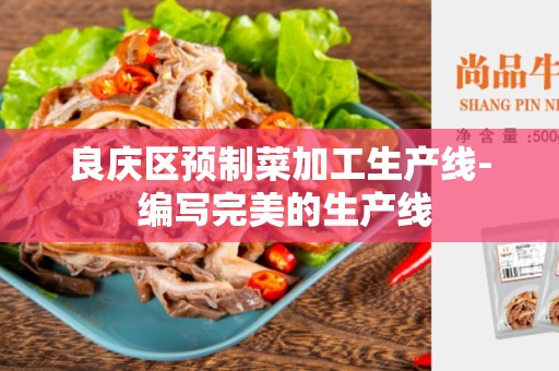 良庆区预制菜加工生产线- 编写完美的生产线