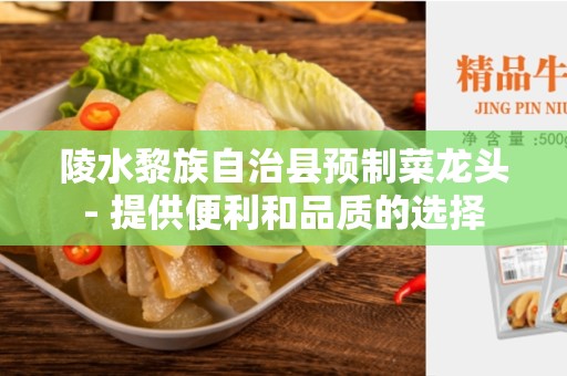 陵水黎族自治县预制菜龙头- 提供便利和品质的选择