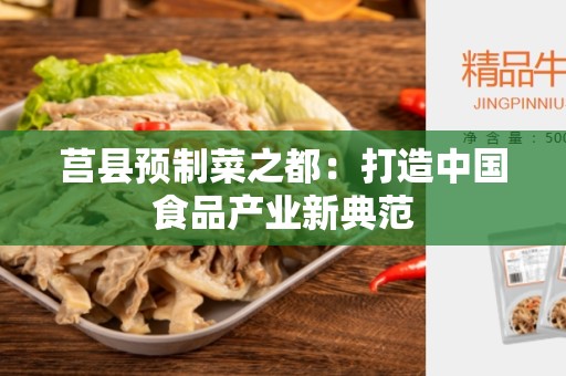 莒县预制菜之都：打造中国食品产业新典范
